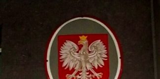 Pies zaatakował 11-latkę wracającą ze szkoły