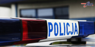 Kolejne zderzenie auta z łosiem