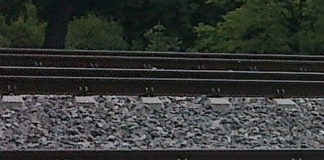 Niebezpieczny przejazd kolejowy w Susku Nowym – głos w sprawie zabiera Bartosz Podolak, wójt gminy Rzekuń