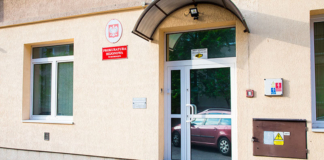 PIES W BRUDZIE, BEZ POKARMU, CHORY