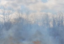 Wypalanie traw – poważne zagrożenie dla ludzi i przyrody