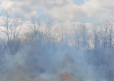 Wypalanie traw – poważne zagrożenie dla ludzi i przyrody