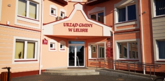 Gmina Lelis w liczbach