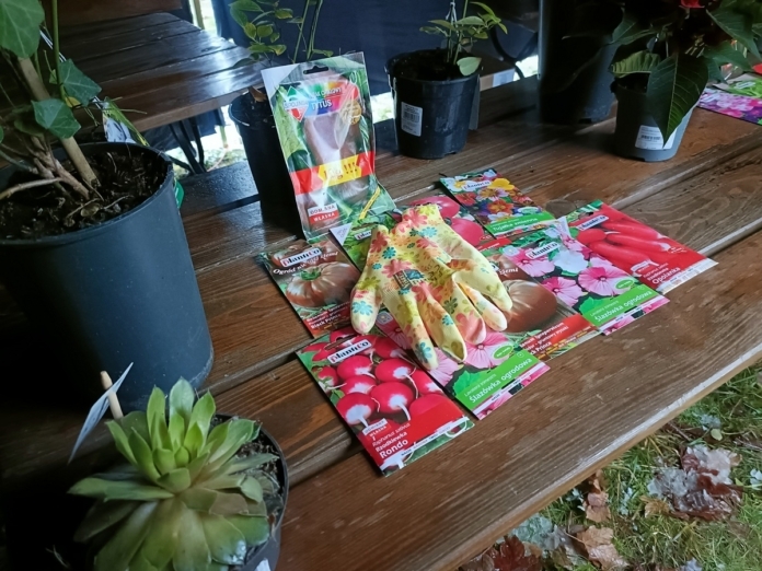 IMG20231125110314