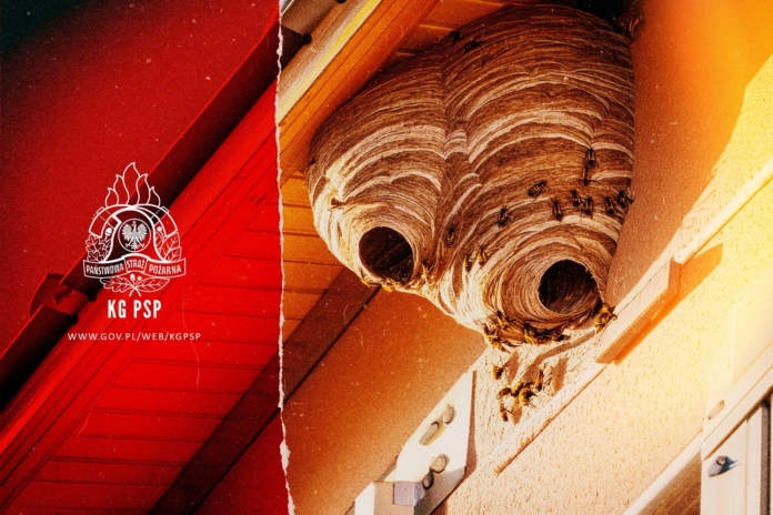 522707094_1057886033196390_201304129122254280_n