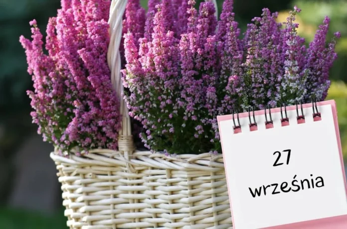 546936475_1219254453566417_2616828130736529610_n