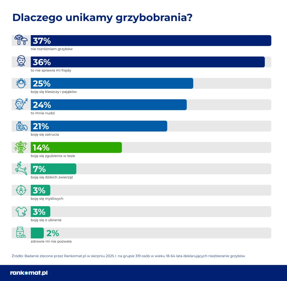 dlaczego nie zbierasz grzybow