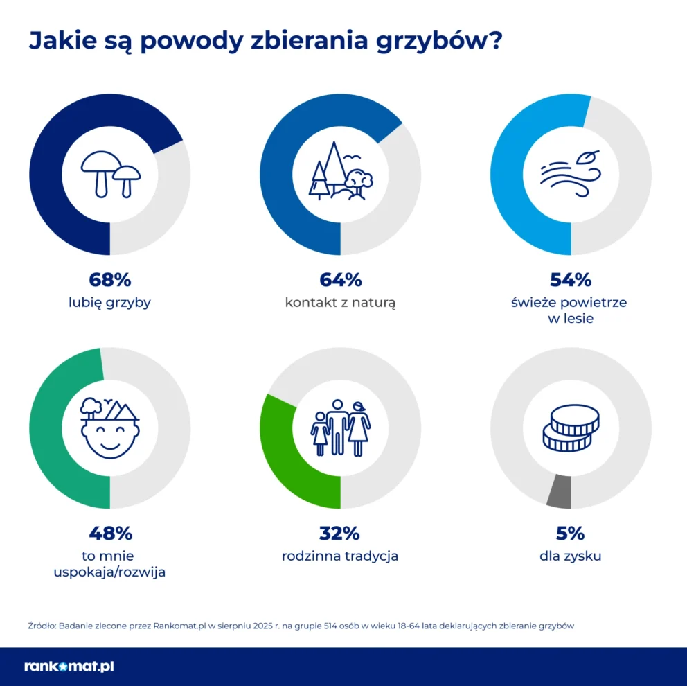 dlaczego zbierasz grzyby