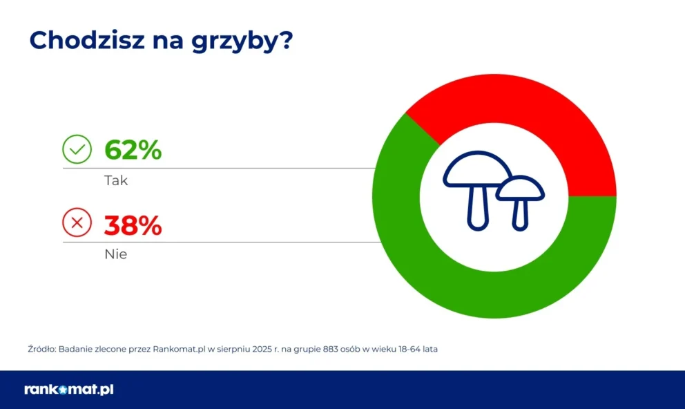 grzyby