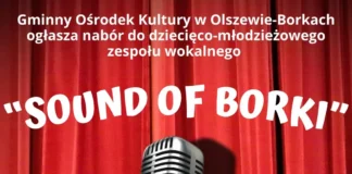 Nowy zespół wokalny 'SOUND OF BORKI’ w Olszewie-Borkach 571186454_1668655007820059_5645175786460841710_n