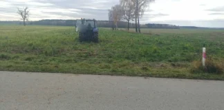 Wypadek przy wycince drzew 286 232454