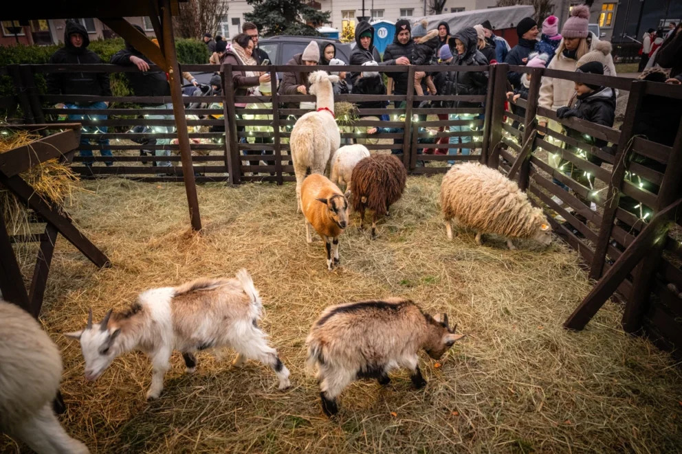 1200pkt_pawel_krupek_krupka 6113