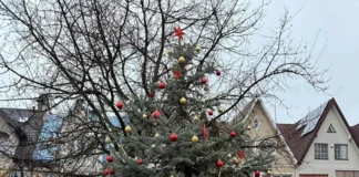 Choinka na skwerze im. Lecha Kaczyńskiego w Ostrołęce 1764773301097