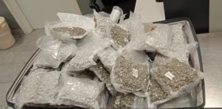 KAS udaremniła przemyt 24 kg marihuany na warszawskim lotnisku foto 2 1