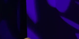 Spółdzielnia Socjalna Integracja z Adelina z tytułem Mazowieckiej Marki Ekonomii Społecznej paulina turek