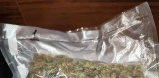 Ostrołęccy kryminalni skuteczni w walce z narkotykami 275 239809