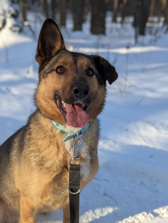 616014866_1311041131060877_8628077352613743501_n