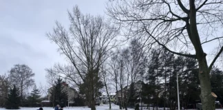 Awaria sieci wodociągowej w Ostrołęce 620105761_122171798240765955_5869138041465338618_n