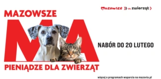 Samorząd Mazowsza pomoże bezdomnym zwierzętom 0x480ppp
