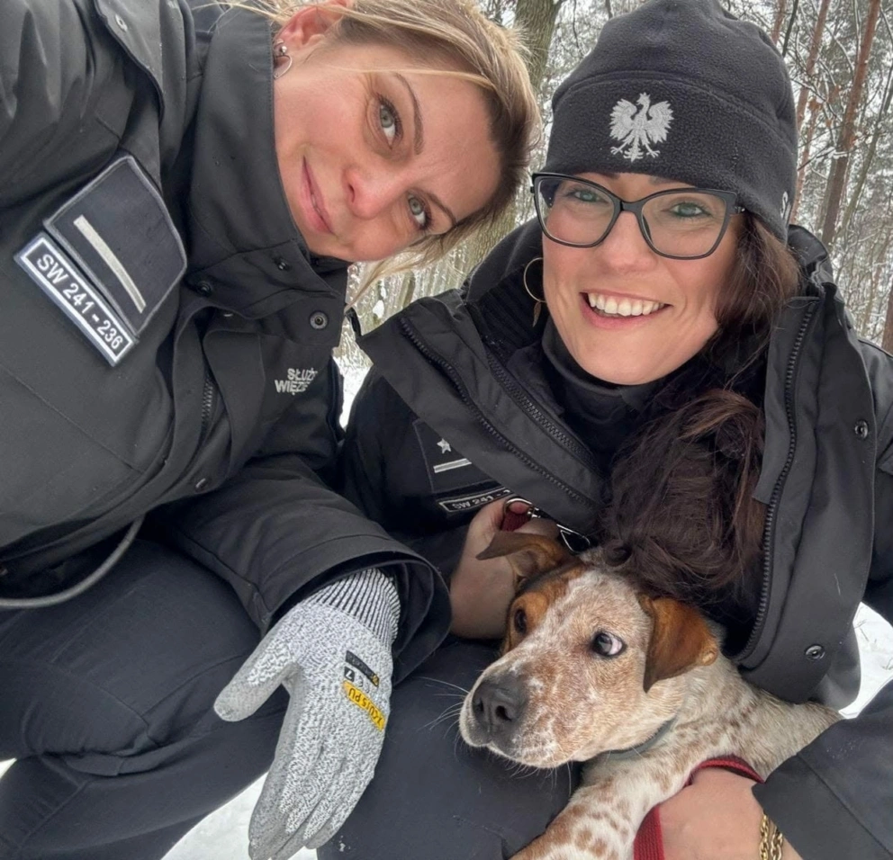 de809a75 b31f 479e a1ee 167633222c24