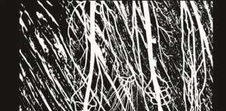 Strona po stronie – Drwal . M Witkowski drwal