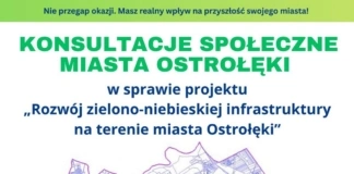 Konsultacje społeczne dotyczące projektu pn.: 'Rozwój zielono-niebieskiej infrastruktury na terenie miasta Ostrołęki” training