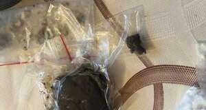 Kryminalni z Ostrołęki zabezpieczyli blisko 2 kg narkotyków 275 243893