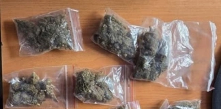 Posiadał znaczną ilość środków odurzających 288 245346