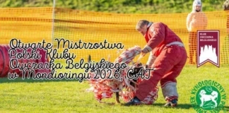 Przed nami Otwarte Mistrzostwa Polski Klubu Owczarka Belgijskiego w mondioringu 2026 648221271_1326191136209508_6458988874277954032_n