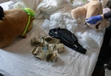 KAS zlikwidowała na Mazowszu grupę przestępczą, która urządzała nielegalne gry hazardowe 7e3a5731