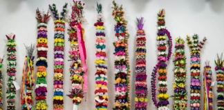 Wyniki XXII konkursu – PALMA WIELKANOCNA cropped news akt fotob 366