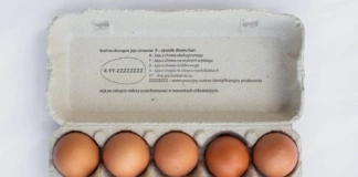 Rewolucja na rynku. Sieci handlowe mówią koniec jajom klatkowym img_0036