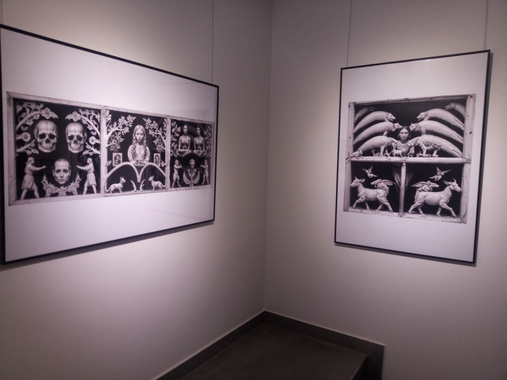 img_20260305_173646_910