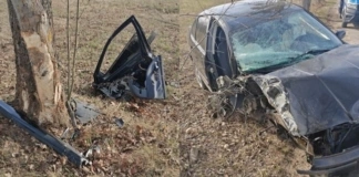 Pijany kierowca uderzył w drzewo 275 245495