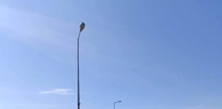 ’Flaga – nasza tożsamość”: wielki happening 30 kwietnia w Ostrołęce happening flaga sosw ostroleka