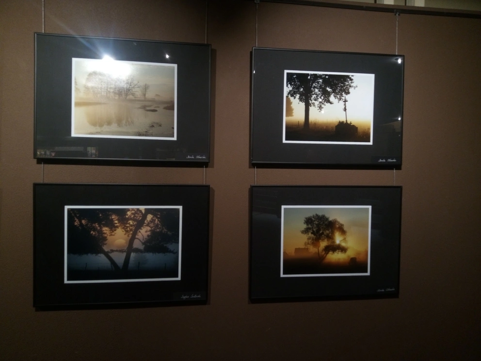 img_20260417_175011_633