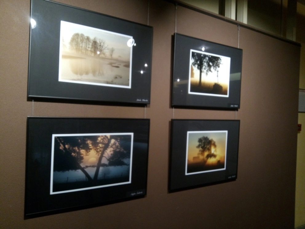 img_20260417_175019_949