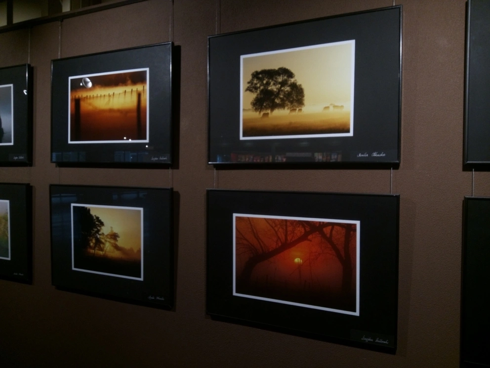 img_20260417_175025_549