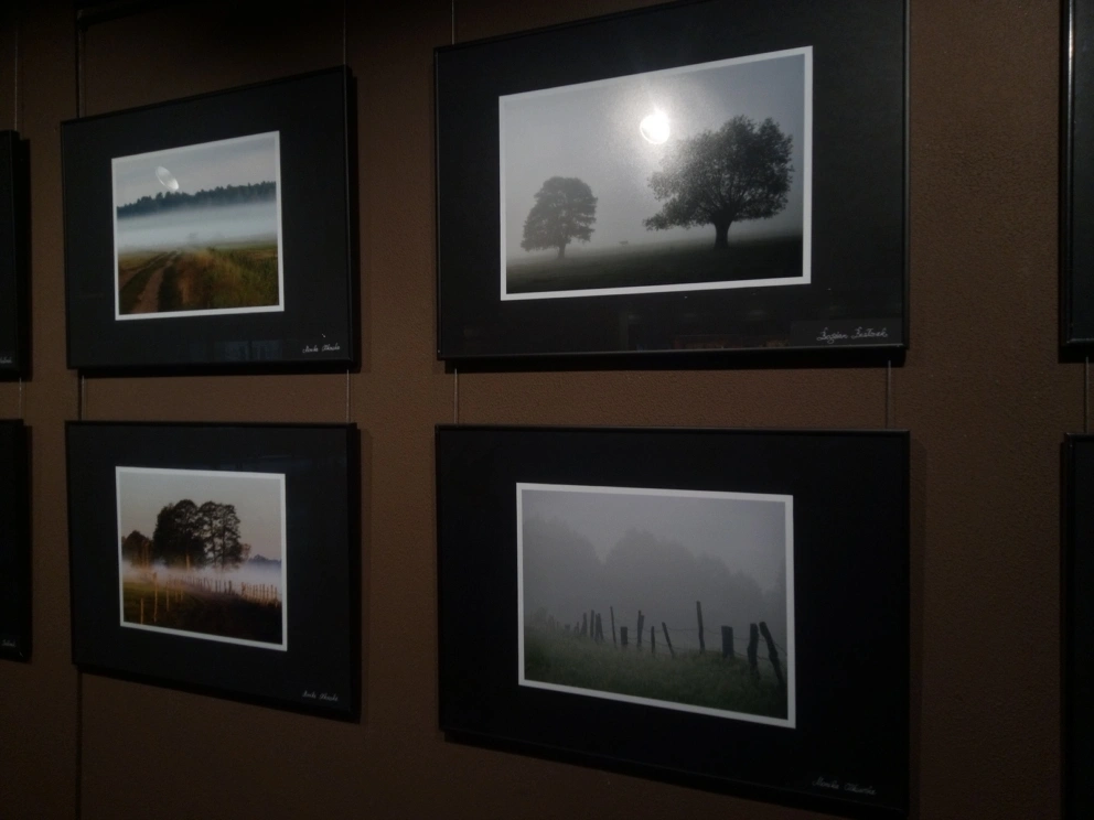 img_20260417_175108_918