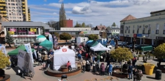 Pierwsza odsłona akcji 'Piknik na zielono” w Ostrołęce mvimg_20260424_113755