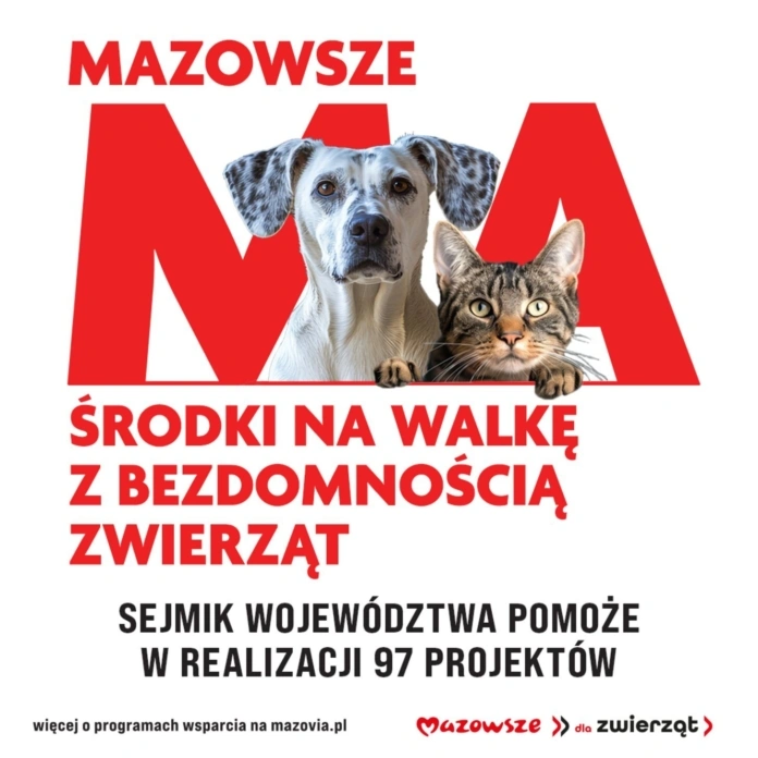 rozne_formaty_dla_zwierzat_kopia