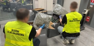 KAS wykryła 50 kg marihuany w przesyłkach z odzieżą 1