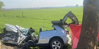 Tragiczny wypadek na DK 57 290 248622