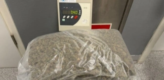 KAS udaremniła przemyt 27 kg marihuany w przesyłkach 3