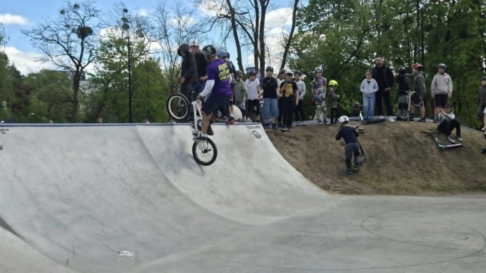 bmx1