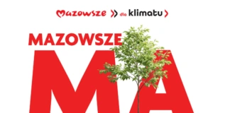 Ponad milion zł sejmik przeznaczy na energooszczędne inwestycje w regionie ostrołęckim oswietleniw