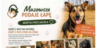 Finał kampanii 'Mazowsze Podaje Łapę” schronisko canis mazowsze podaje lape