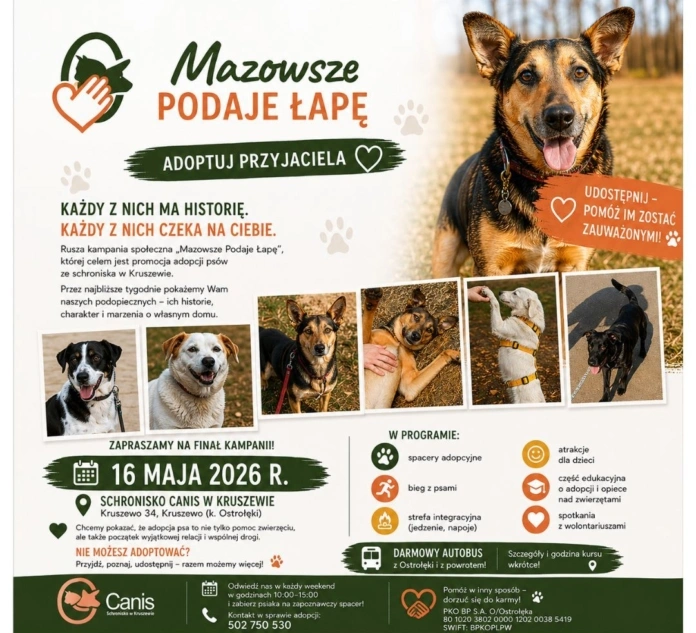 schronisko canis mazowsze podaje lape