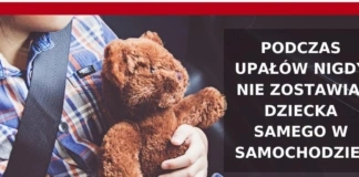 Fala upałów – nigdy nie zostawiaj dzieci i zwierząt w samochodzie! 1460x616