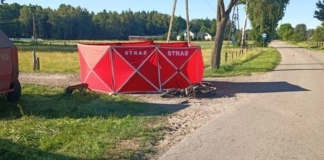 Tragiczny wypadek drogowy w Surowem 275 253181